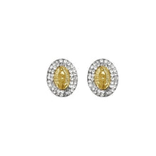 Load image into Gallery viewer, OroTrue 14K Yellow Gold Oval CZ Virgin Mary Screw Back Stud Earring