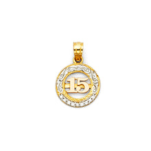 Load image into Gallery viewer, 14K Tri Color Gold CZ 15 Years Pendant