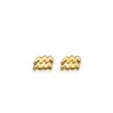 14K Yellow Gold Zodiac Aquarius Stud Earrings With Screw Back