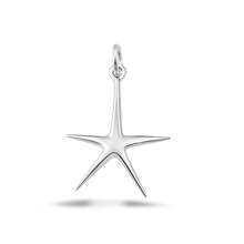 Load image into Gallery viewer, Sterling Silver Oxidized And Polished Starfish Pendant