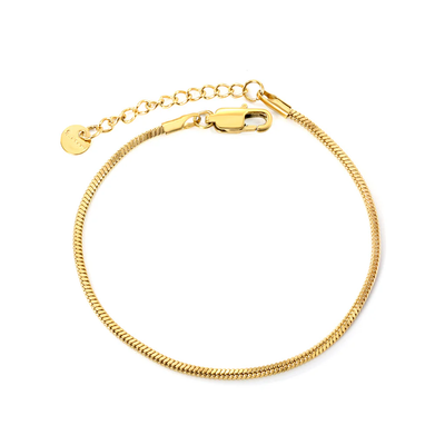 Tresoli Stainless Steel Gold Color PVD Round Tail Plague Square Snake Bone Bracelet