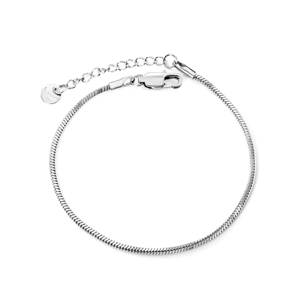 Stainless Steel Color PVD Thin Square Snake Bone Bracelet With Round Tail Plague