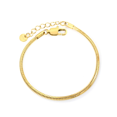 Tresoli Stainless Steel Gold Color PVD Square Snake Bone Bracelet With Round Tail Plague