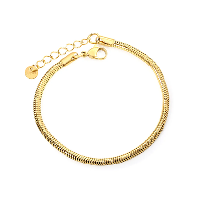 Tresoli Stainless Steel Gold Color PVD Round Tail Plate Round Snake Bone Chain Bracelet