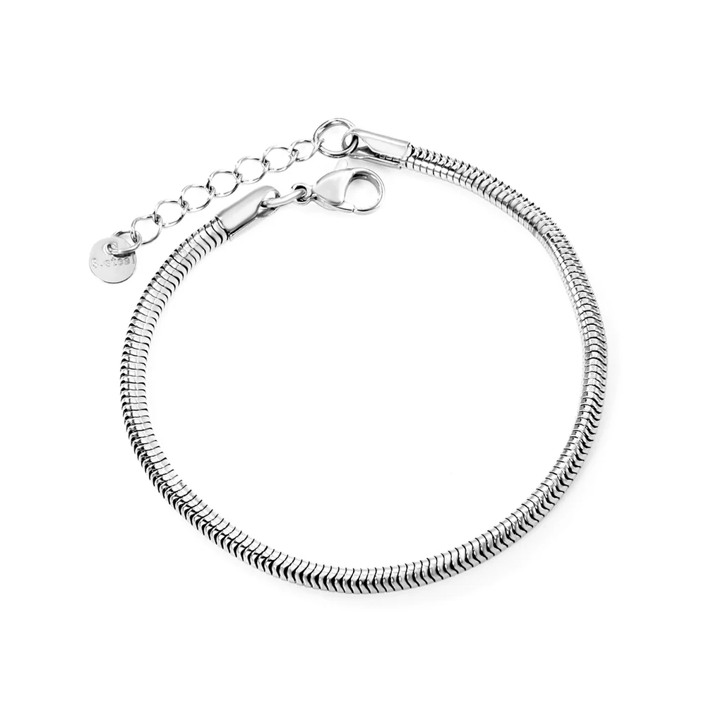 Stainless Steel Color PVD Round Snake Bone Chain Bracelet With Round Tail Plate