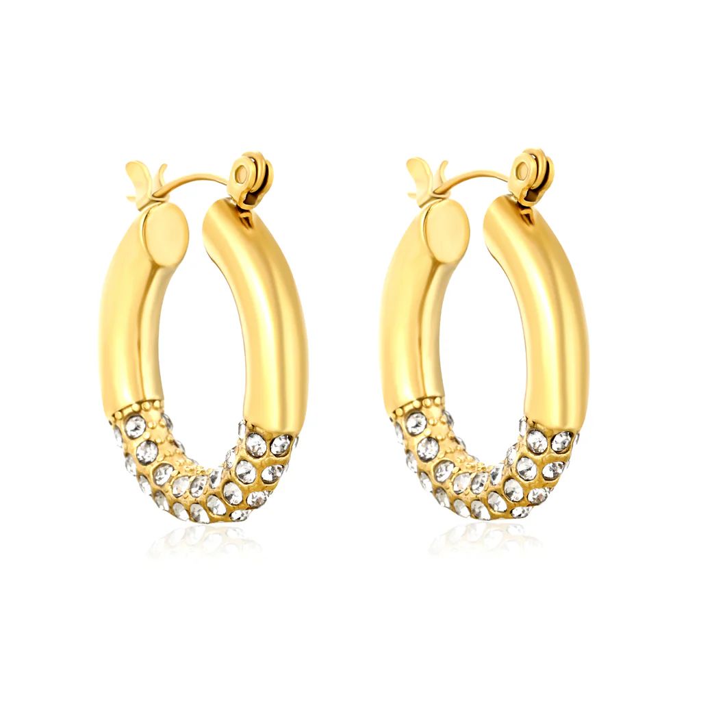 Tresoli Stainless Steel Gold Color PVD Outer Diameter With White Rhinestones Hook Earrings