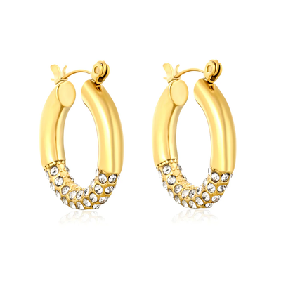 Tresoli Stainless Steel Gold Color PVD Outer Diameter With White Rhinestones Hook Earrings