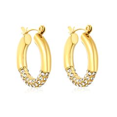Tresoli Stainless Steel Gold Color PVD Outer Diameter With White Rhinestones Hook Earrings