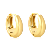 Load image into Gallery viewer, Stainless Steel Gold Color PVD Circle Hoop Earrings