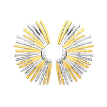 Load image into Gallery viewer, Tresoli Stainless Steel And Gold Color PVD Fan Shaped Stud Earrings