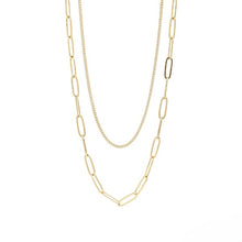 Load image into Gallery viewer, Stelluxe Stainless Steel Gold Color PVD Dainty Curb And Paperclip Layered Chain Necklace