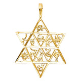 14K Yellow 12 ANIMAL STAR PENDANT