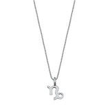 Sterling Silver Capricorn Zodiac Necklace